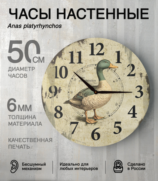 Настенные часы 50см (Селезень) КРУГ